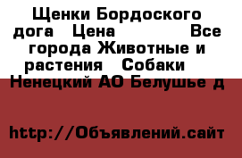 Щенки Бордоского дога › Цена ­ 60 000 - Все города Животные и растения » Собаки   . Ненецкий АО,Белушье д.